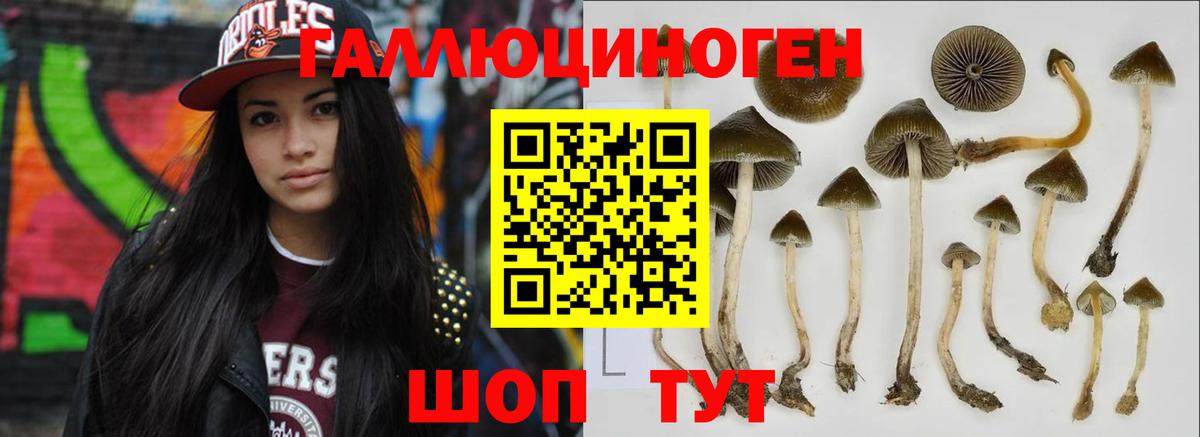Галлюциногенные грибы мицелий Армавир
